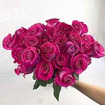 Fresh Cut 24 Pink Roses - Fresh from the Farm Pink Rose Bouquet – Hand-Selected Long-Lasting, Gift and Home Decor Perfect Fresh Flowers |20" Long Stems No Vase-2 Dozen | Flowers Gift