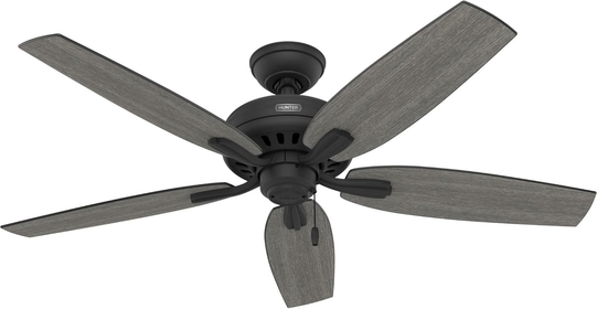 Hunter Fan Company 52397 Newsome Ceiling Fan, Matte Black