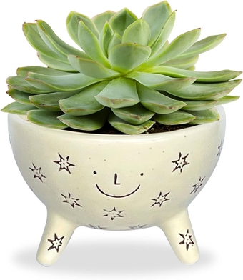 Facepot Ceramic Planter with a Smiling Face, Succulent and Flower Pot for Home and Office, Cute Plant Vase for Indoor Gardening, 5.63 (W) x 3.75 (H) inches