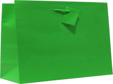 12PK Value Premium Solid Color Paper Gift Bags (16" Wide Vogue-Green-GP50077)