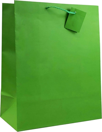 12PK Value Premium Solid Color Paper Gift Bags (13" LG-Green-GP50072)
