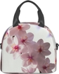 Cherry Blossoms