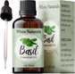 Basil