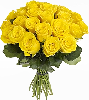 Fresh Cut 24 Yellow Roses - Fresh from the Farm Yellow Rose Bouquet – Hand-Selected Long-Lasting Gift and Home Decor Perfect Fresh Flowers |20" Long Stems No Vase-2 Dozen | Flowers Gift