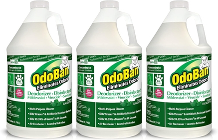 Professional Disinfectant and Odor Eliminator Concentrate, 3-Pack, 1 Gallon Each, Original Eucalyptus Scent