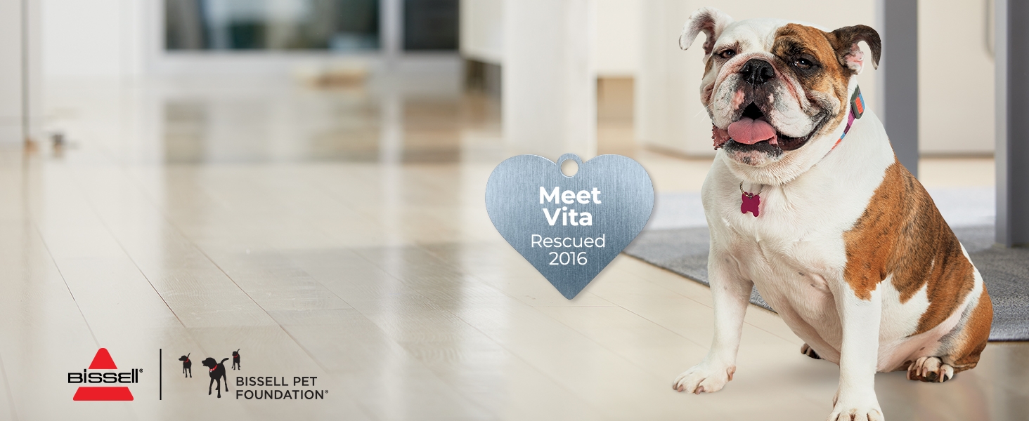 every purchase saves pets